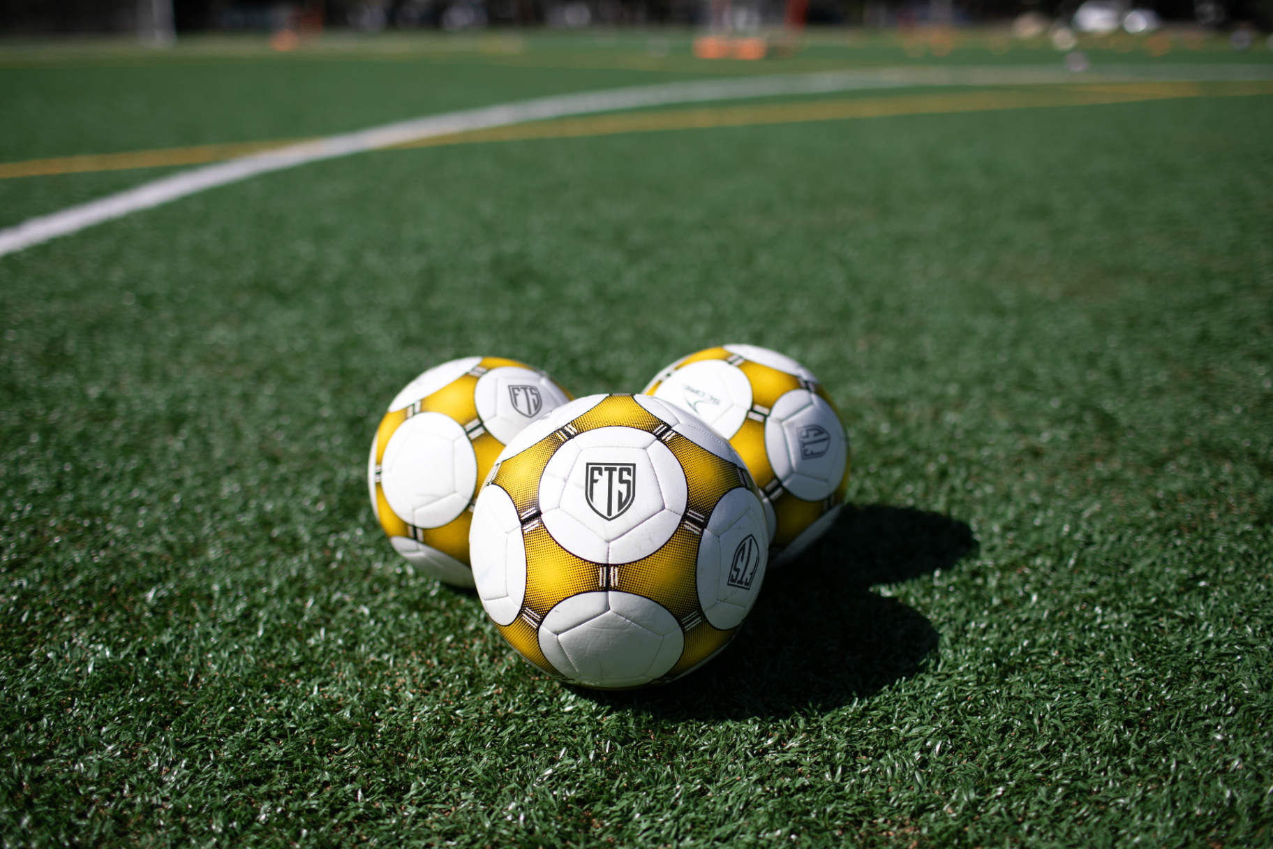 First Touch Soccer balls on field